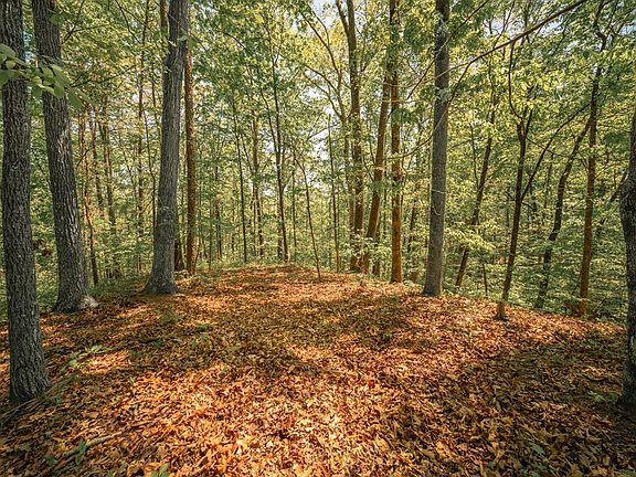 3rd image of 0 Hancock Mountain Trl