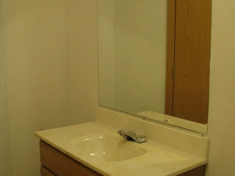 Hall bath pic 2