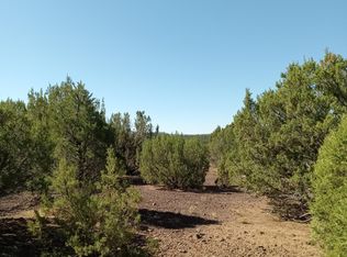 County Road 3197 LOT 46, Vernon, AZ 85940