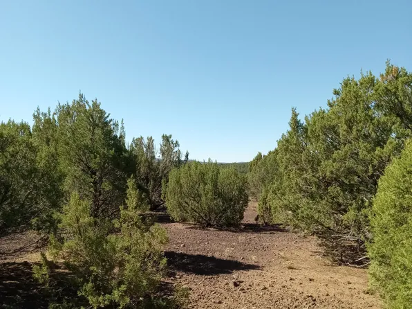 County Road 3197 Lot 46, Vernon, AZ 85940