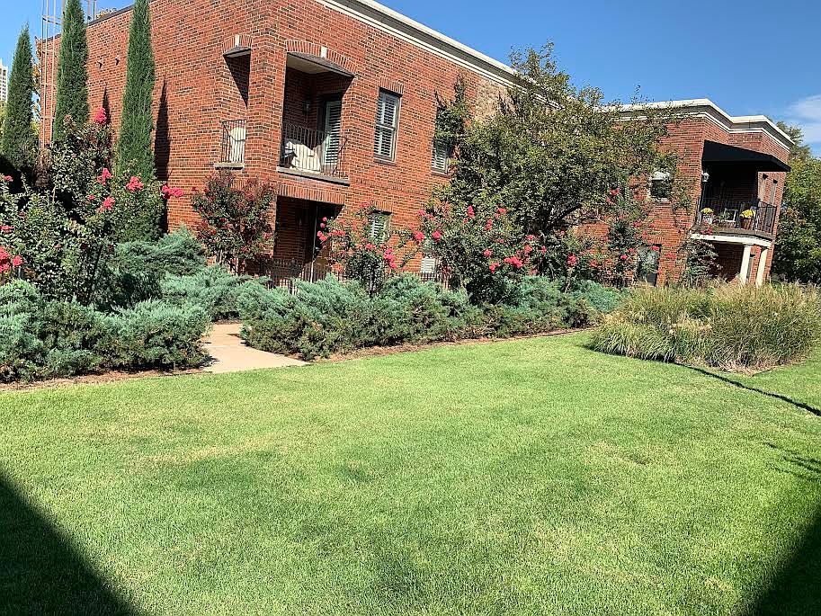From the Courtyard