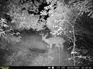 County Road Y, Wonewoc, WI 53968