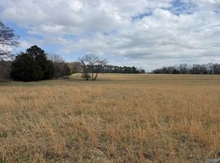 LOT 1 Holt Rd, Athens, AL 35613