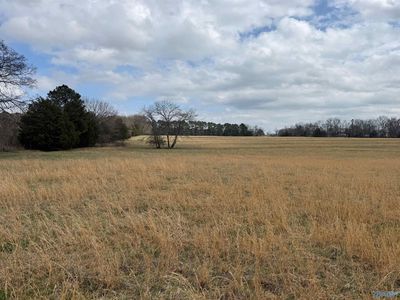 LOT 1 Holt Rd, Athens, AL, 35613
