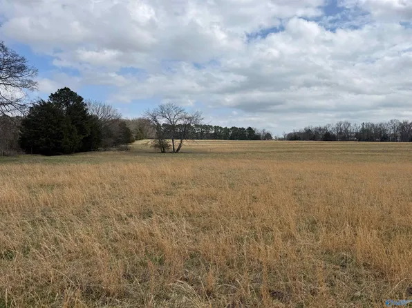 LOT 1 Holt Rd, Athens, AL 35613
