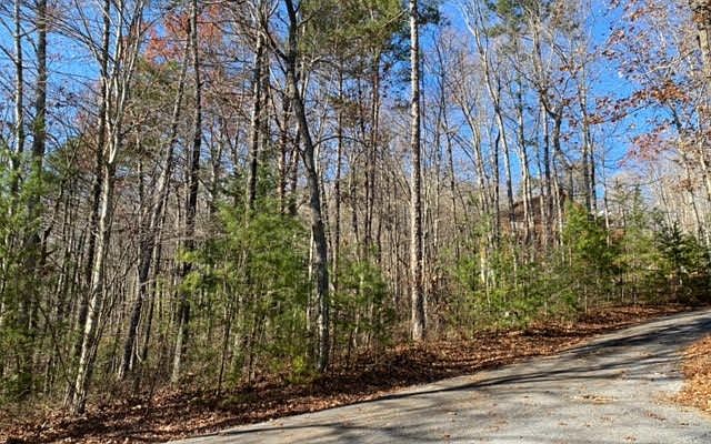 2nd image of 0 Lucky Leaf Ln