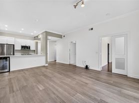 100 Willard St, Houston, TX