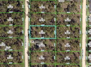 15110 Fleetwood Rd, Weeki Wachee, FL 34614