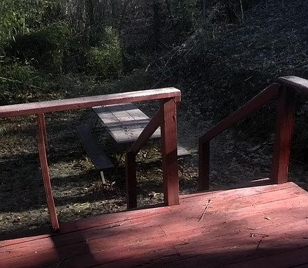 2nd image of 115 Witch Hazel Dr