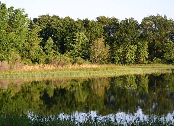 5th image of 221 Deer Valley Dr