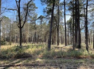 7207 Lake Creek Cir, Montgomery, TX 77316