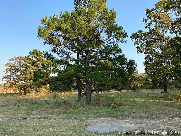 4th image of 16841 County Road 3770