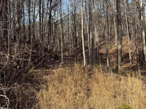 Butter St, Landrum, SC 29356