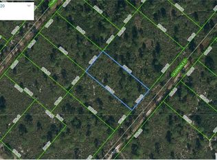 606 Lauderdale St, Lake Placid, FL 33852