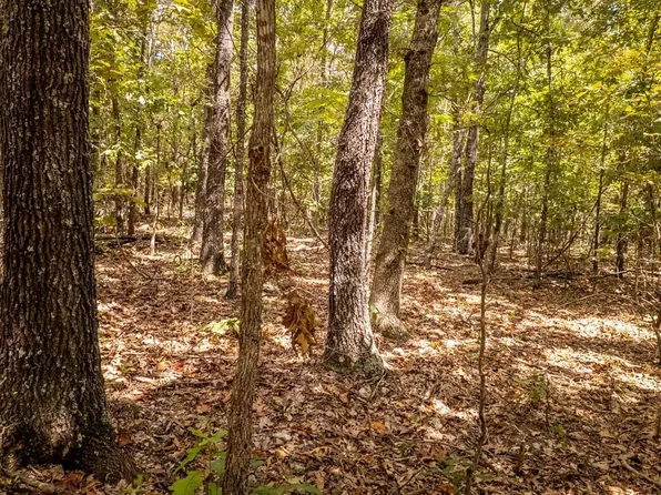 0 County Road 9640, Koshkonong, MO 65692