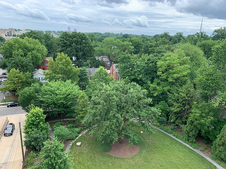 View from rooftop