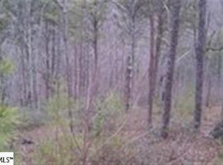 725 Fire Pink Way, Landrum, SC 29356