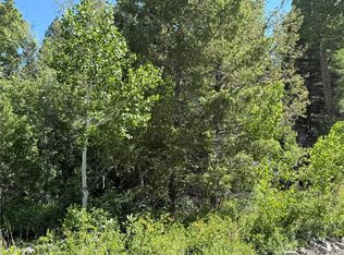 243 Mill Run Rd, Mosca, CO 81146