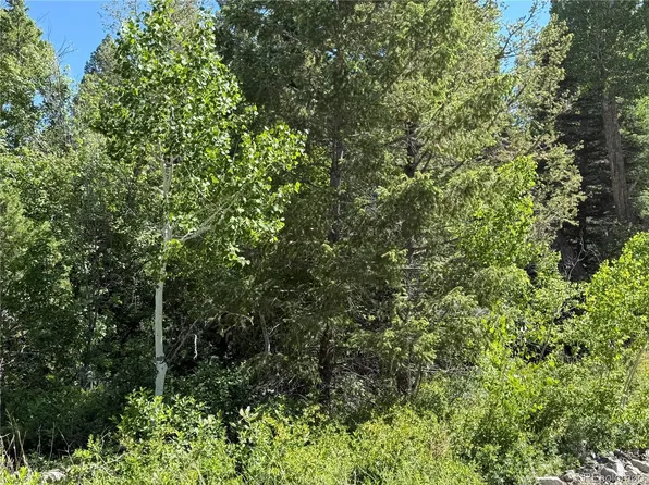 243 Mill Run, Alamosa, CO 81101