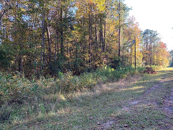 3rd image of 2202 Elkin St SW Lot 11