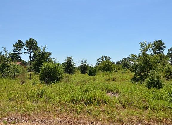 3rd image of 181 S Buckhorn Dr