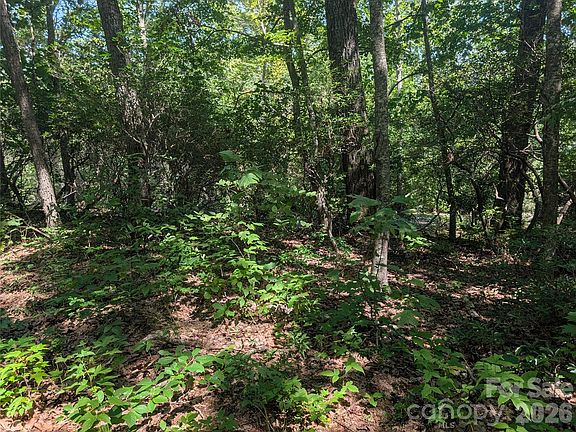 2nd image of 1824 Old Mill Rd