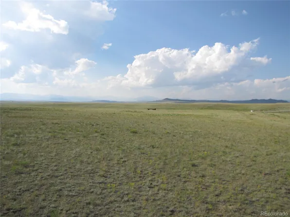 1429D Anadarko Road, Hartsel, CO 80449