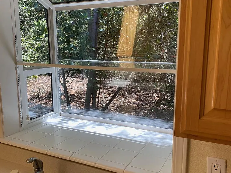 Kitchen garden window.