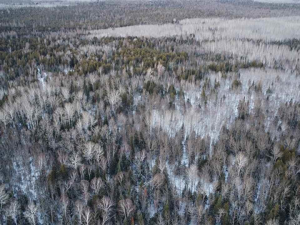 County Road 77, Littlefork, MN 56653 Zillow