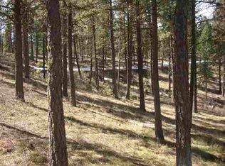 B5-L7 Syringa Dr, New Meadows, ID 83654