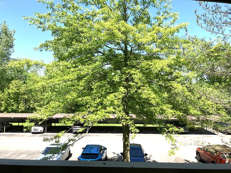 Windsor Place Apartments — Photo 94