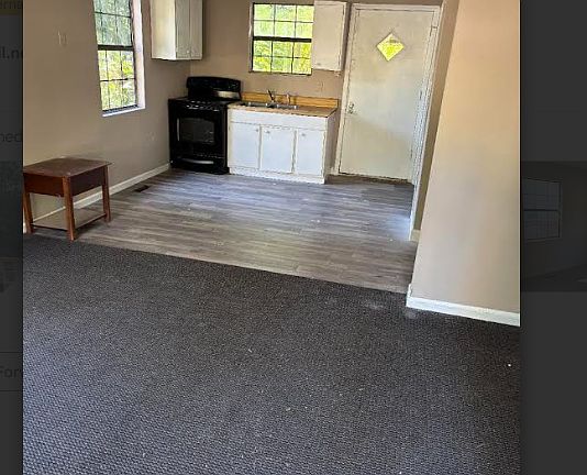 Open floor - living room - kitchen