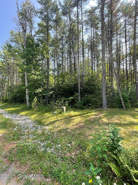 2nd image of 42 Snowshoe Ridge