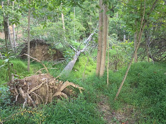 5th image of 122 Mustaphal Dr