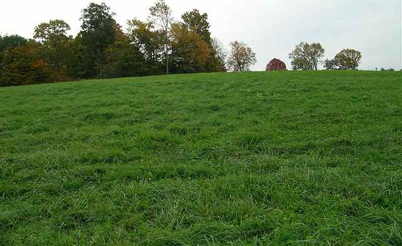 3rd image of 0 VAN PATTEN Road