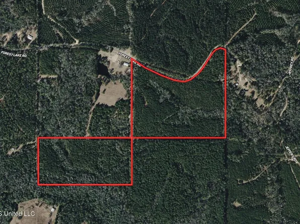 259 Forest Lake Rd, Beaumont, MS 39423