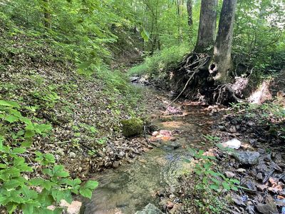 0 Swindle Creek Rd, Linden, TN, 37096