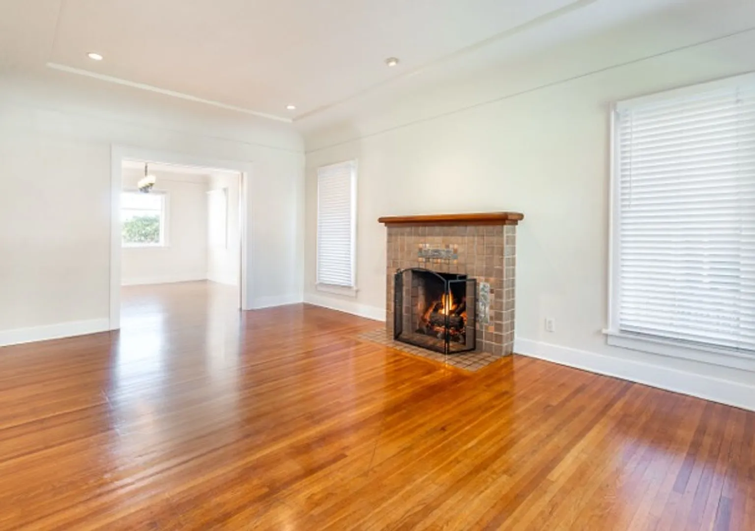 Georgia St. Triplex — Photo 3
