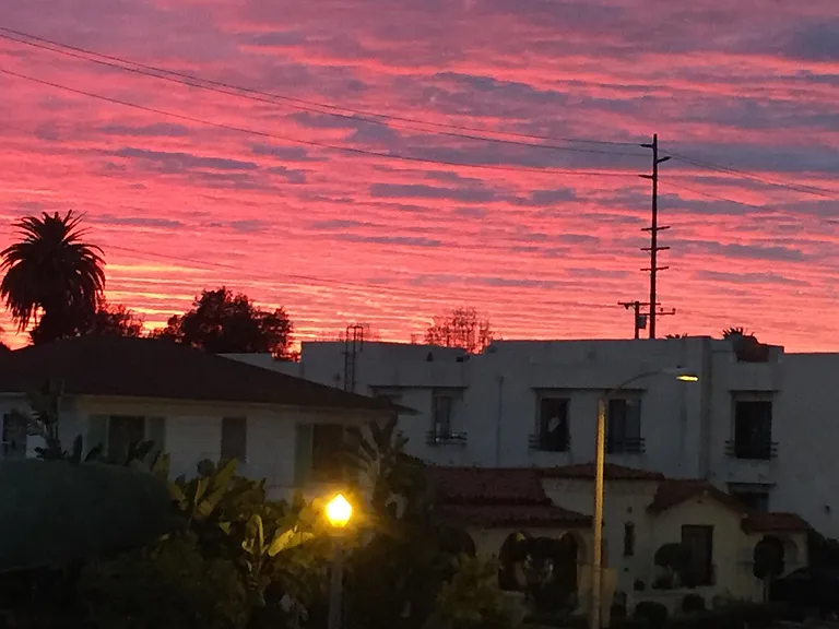 Living room view