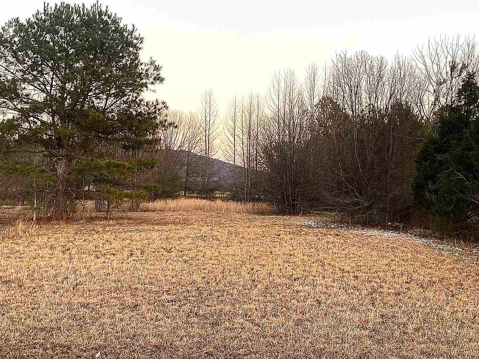 2nd image of Low Gap Rd
