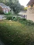 503 W 14th St #F1 — Photo 9