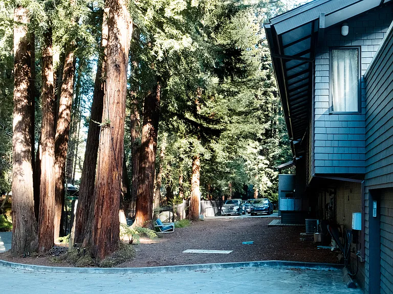 7 Ethel Ct — Photo 18