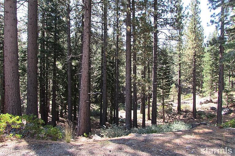 1st image of 1841 Grizzly Mountain Dr