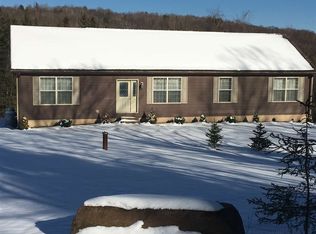 192 Roney Rd, Preston Hollow, NY 12469