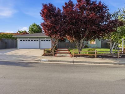 6553 Whitbourne Dr, San Jose, CA, 95120