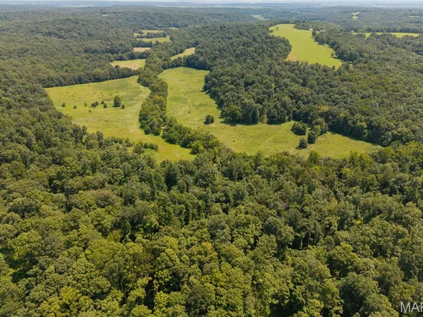 0 Bcr 418, Marble Hill, MO 63764