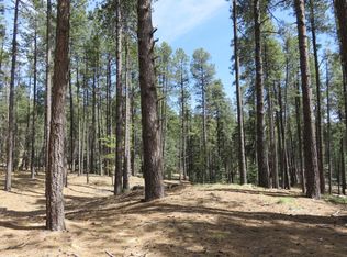 3295 E Walker Rd, Prescott, AZ 86303