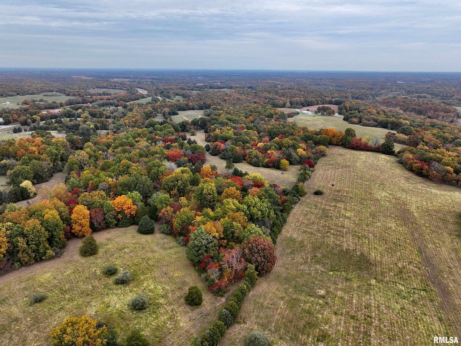 3 Friendship Loop, Goreville, IL 62939 MLS CA1025636 Zillow