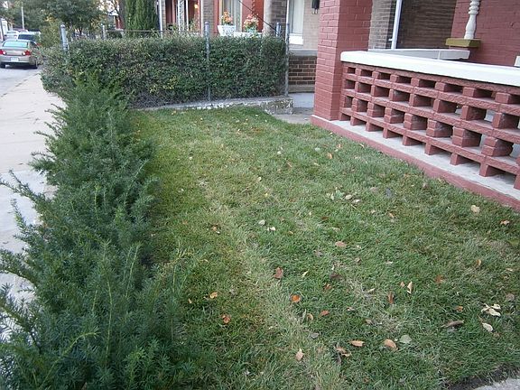 Front Yard