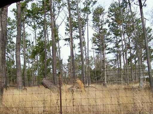 2nd image of Old Joe Moran Rd